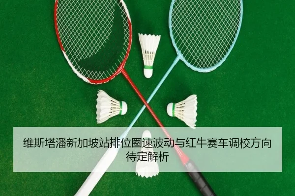 维斯塔潘新加坡站排位圈速波动与红牛赛车调校方向待定解析 - RAYESPORTS